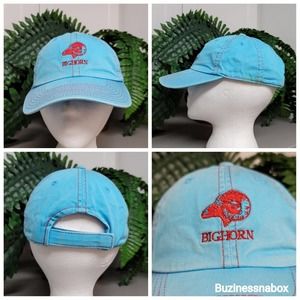 Vtg American Needle Big Horn Dad Hat